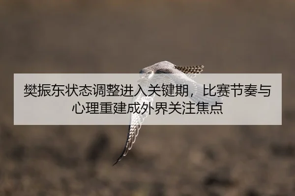 fan-zhen-dong-zhuang-tai-tiao-zheng-jin-ru-guan-jian-qi-bi-sai-jie-zou-yu-xin-li-chong-jian-cheng-wai-jie-guan-zhu-jiao-2-813.jpg