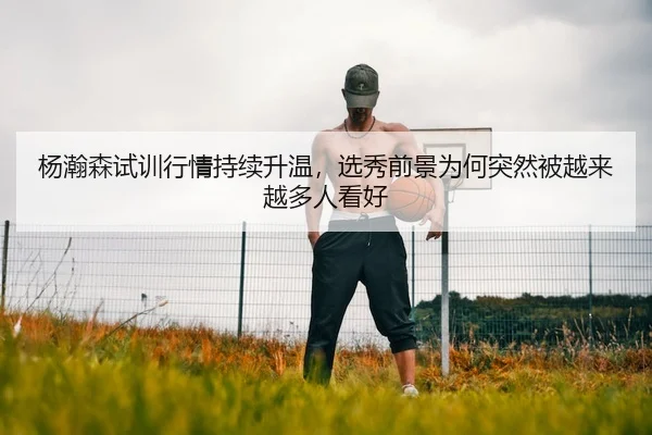 杨瀚森试训行情持续升温，选秀前景为何突然被越来越多人看好